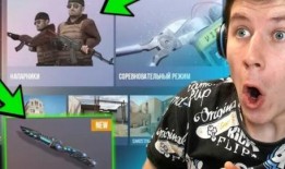 对峙2最新官方爆料网站,官方爆料揭秘，全新战局与角色前瞻